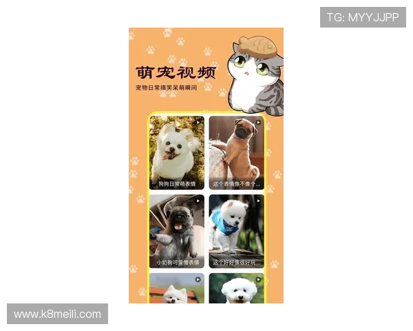 凯发登录入口手机版安全稳定，保障玩家账号信息安全，畅享无忧游戏体验
